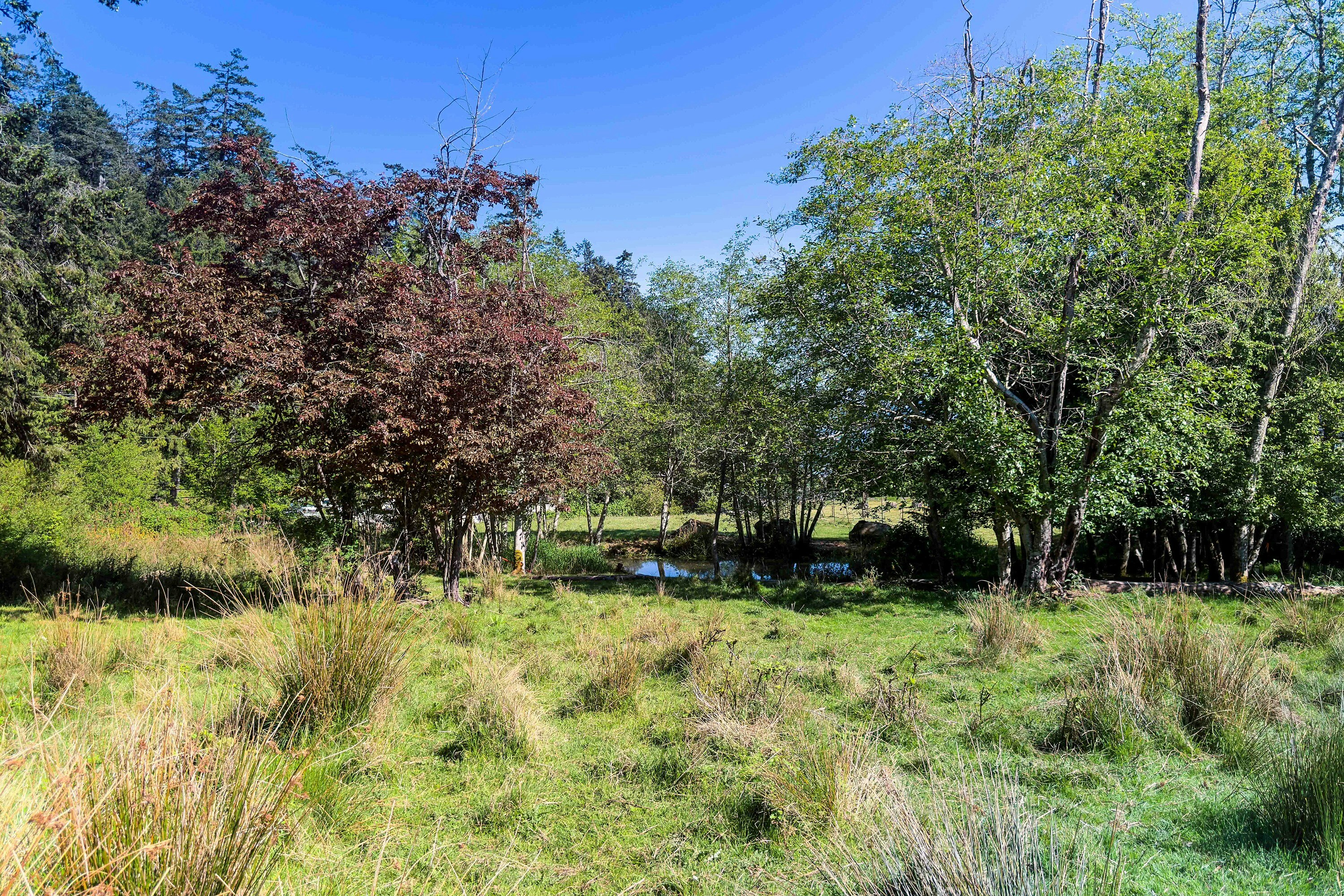265 Lower Ganges Road, Salt Spring Island, BC, V8K 1S7 - 24