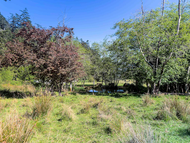 265 Lower Ganges Road, Salt Spring Island, BC, V8K 1S7 - 24