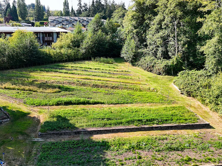 265 Lower Ganges Road, Salt Spring Island, BC, V8K 1S7 - 20