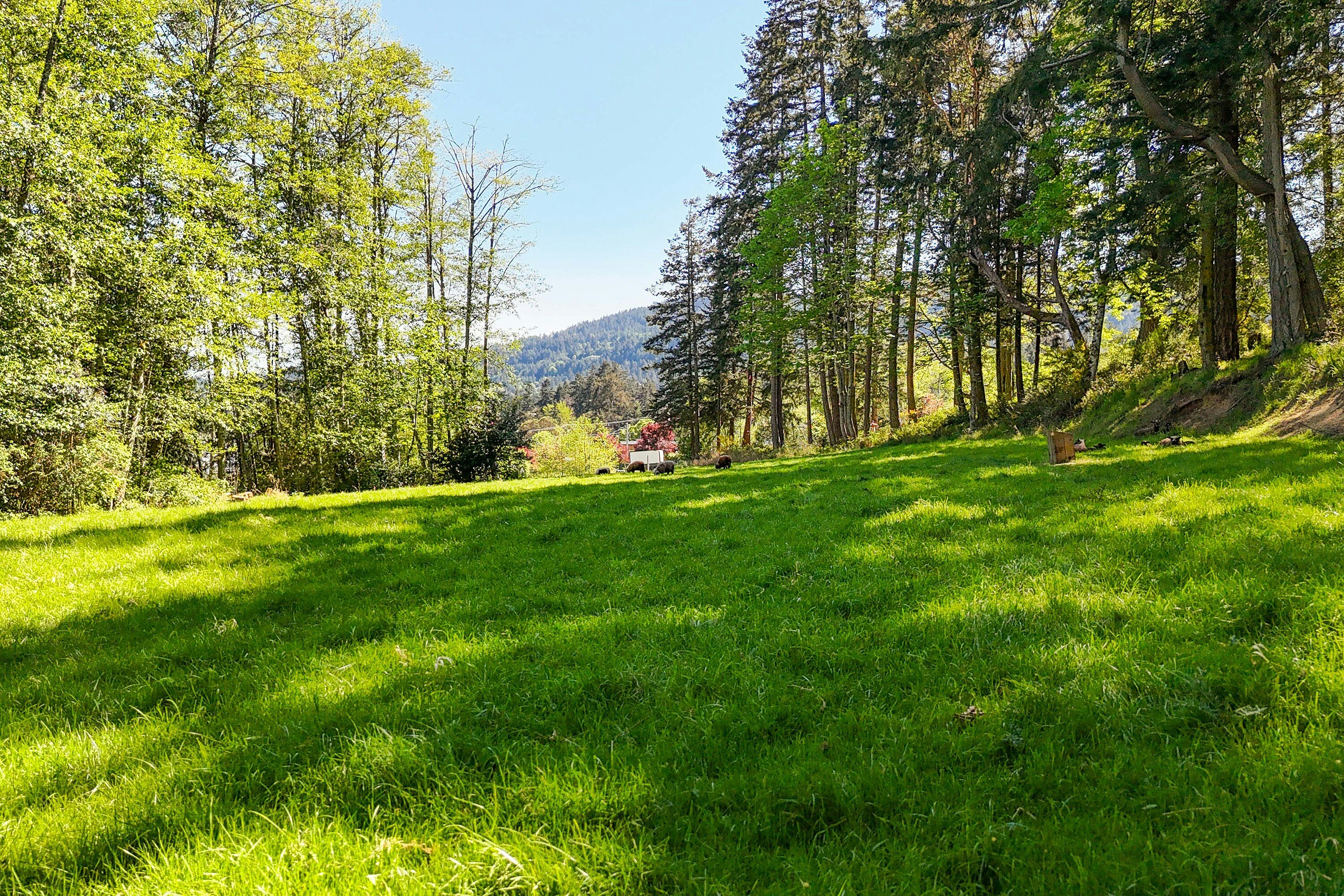265 Lower Ganges Road, Salt Spring Island, BC, V8K 1S7 - 32