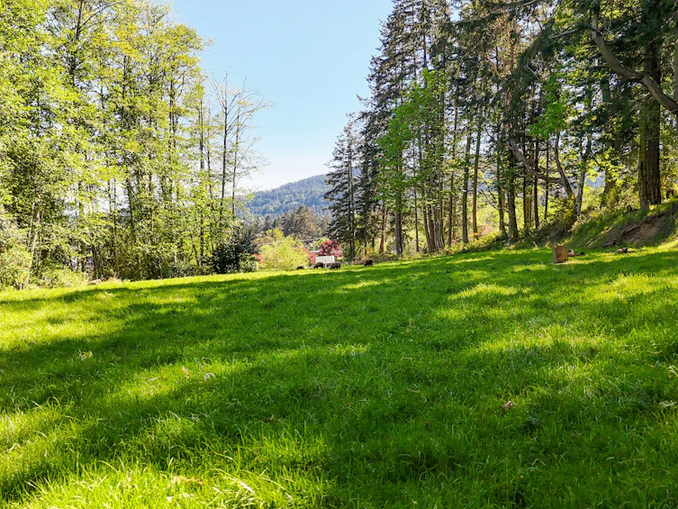 265 Lower Ganges Road, Salt Spring Island, BC, V8K 1S7 - 32