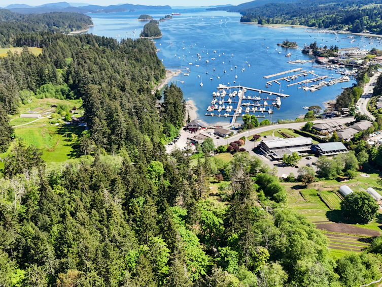265 Lower Ganges Road, Salt Spring Island, BC, V8K 1S7 - 37