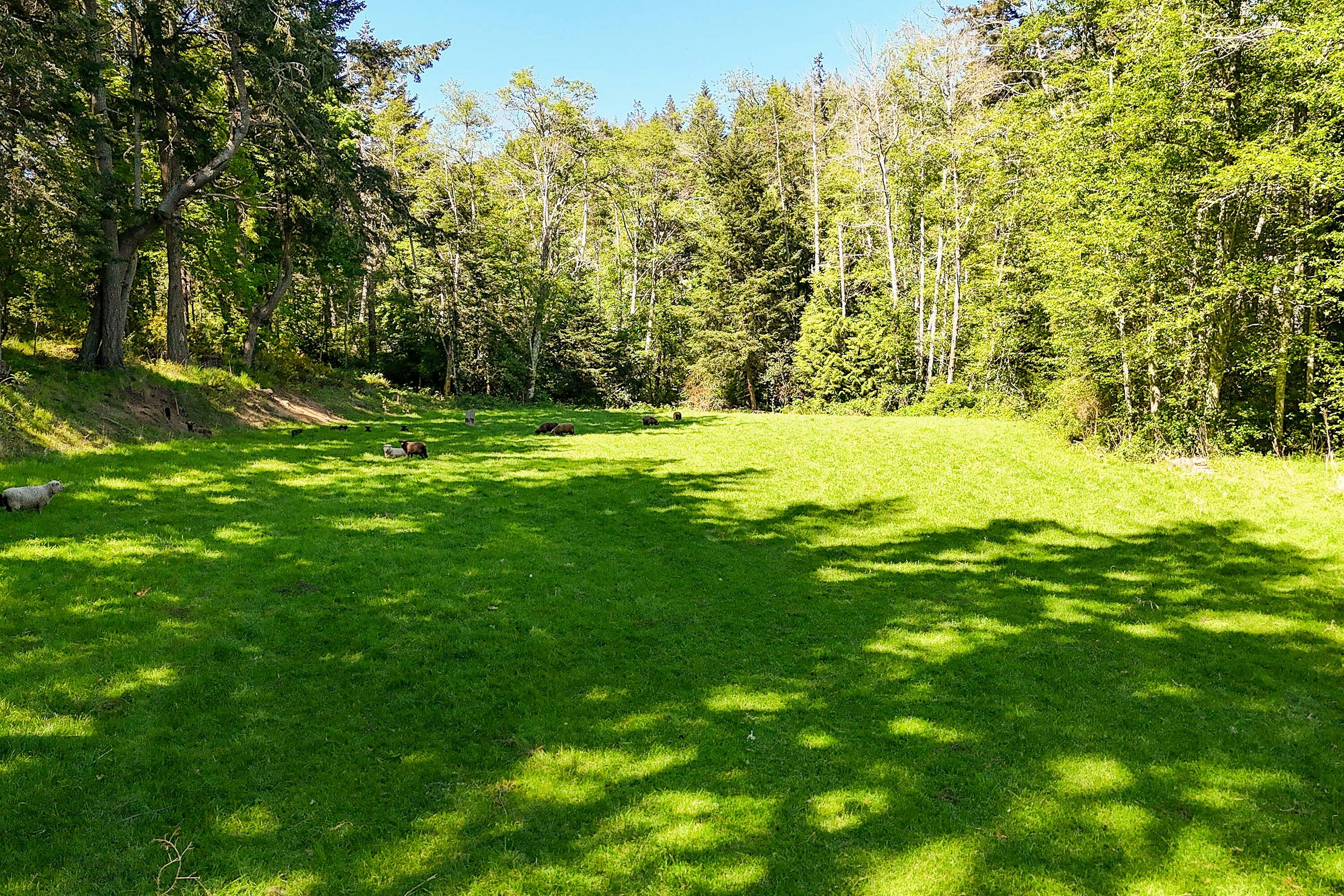 265 Lower Ganges Road, Salt Spring Island, BC, V8K 1S7 - 30