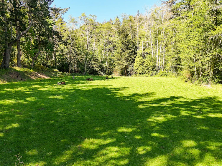 265 Lower Ganges Road, Salt Spring Island, BC, V8K 1S7 - 30