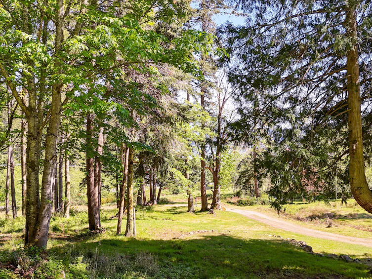265 Lower Ganges Road, Salt Spring Island, BC, V8K 1S7 - 26
