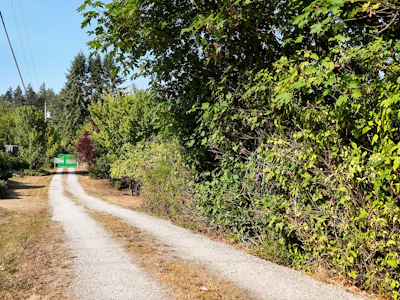 265 Lower Ganges Road - 5