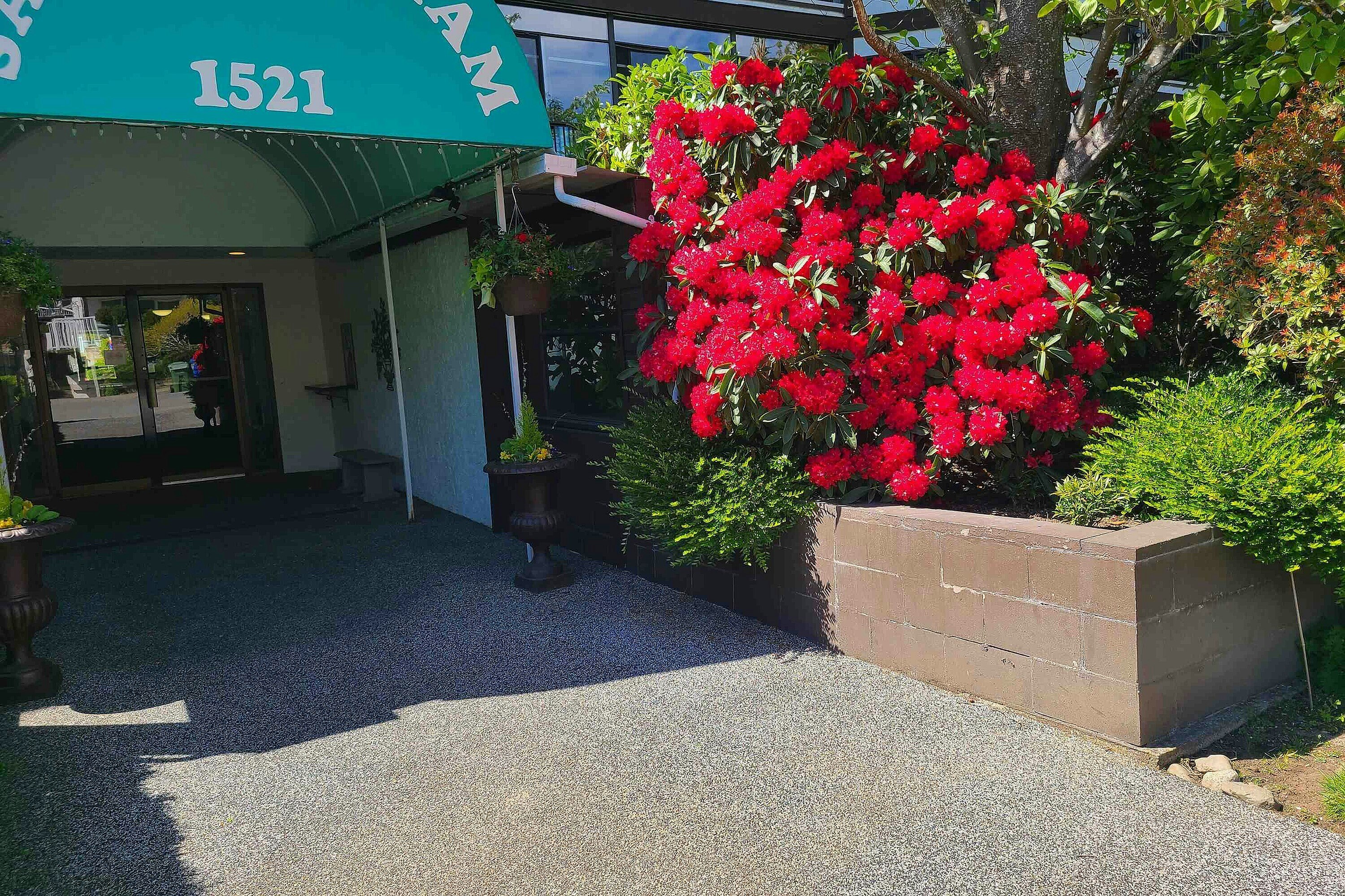 111-1521 Blackwood Street, Surrey, BC, V4B 3V6 - 2