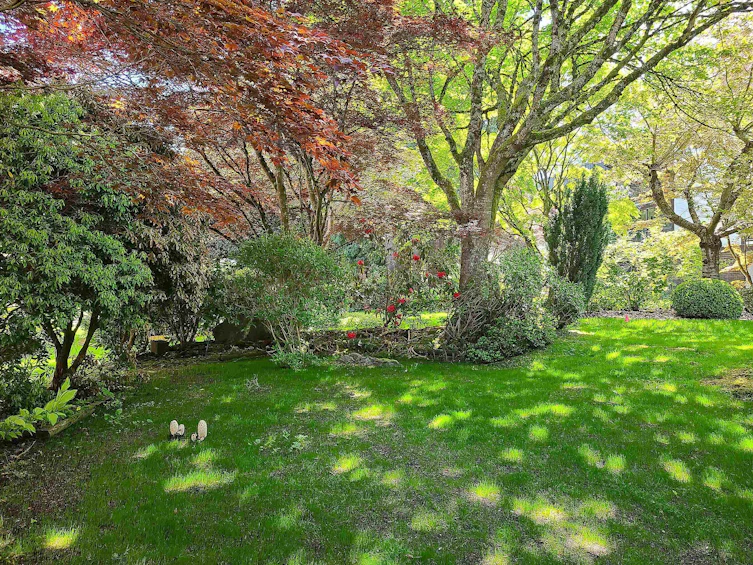 111-1521 Blackwood Street, Surrey, BC, V4B 3V6 - 32