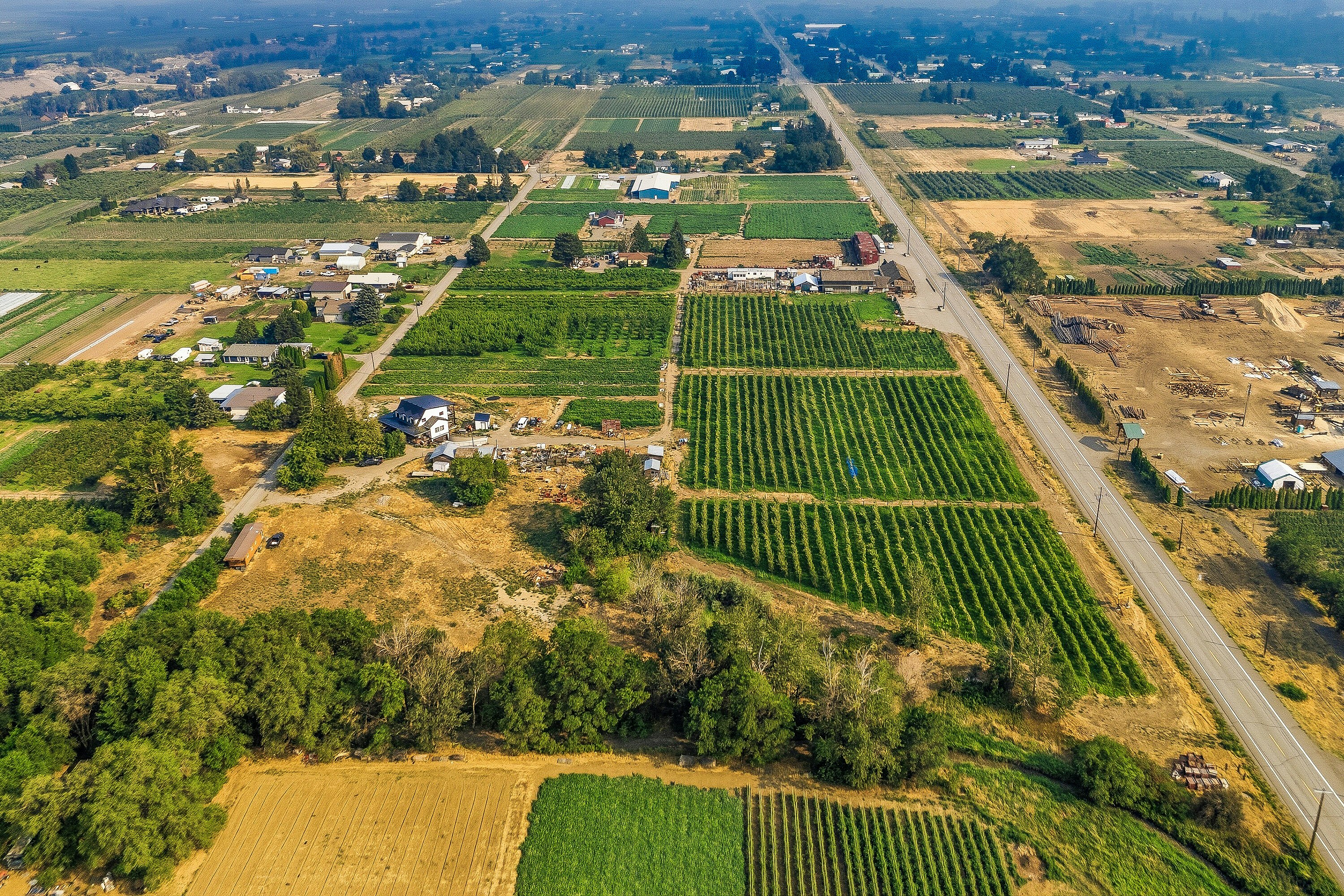 2249 Agar Road, Cawston, BC, V0X 1C2 - 100