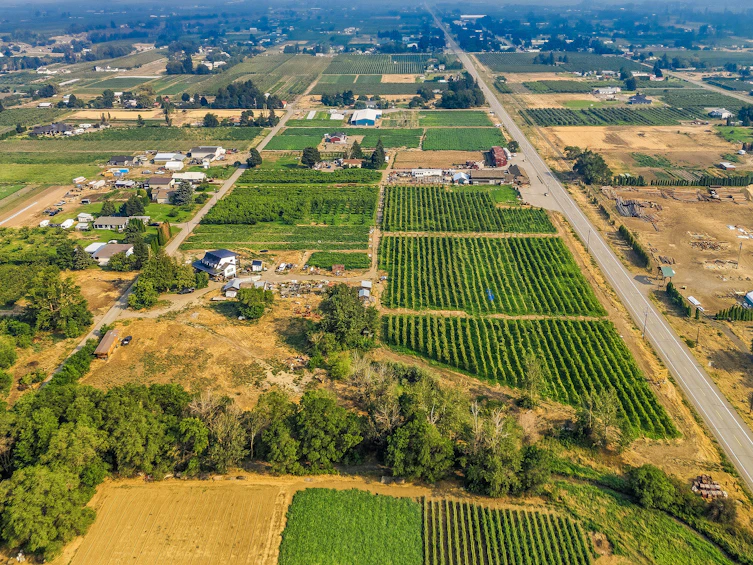 2249 Agar Road, Cawston, BC, V0X 1C2 - 100