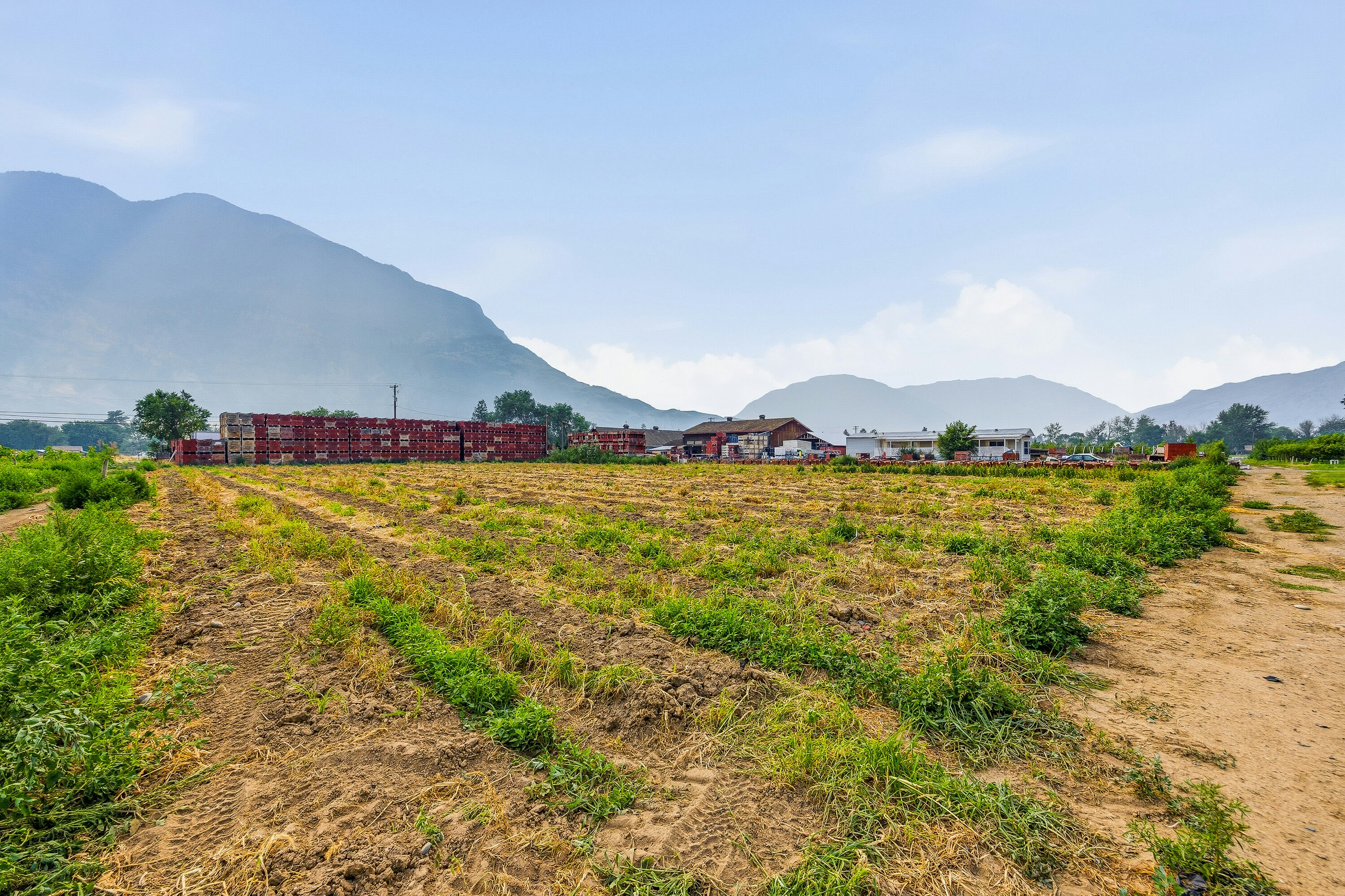 2249 Agar Road, Cawston, BC, V0X 1C2 - 89