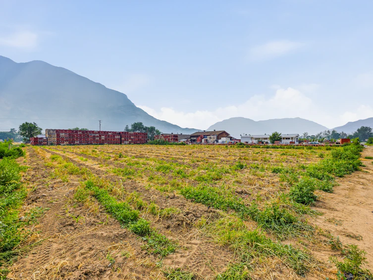 2249 Agar Road, Cawston, BC, V0X 1C2 - 89