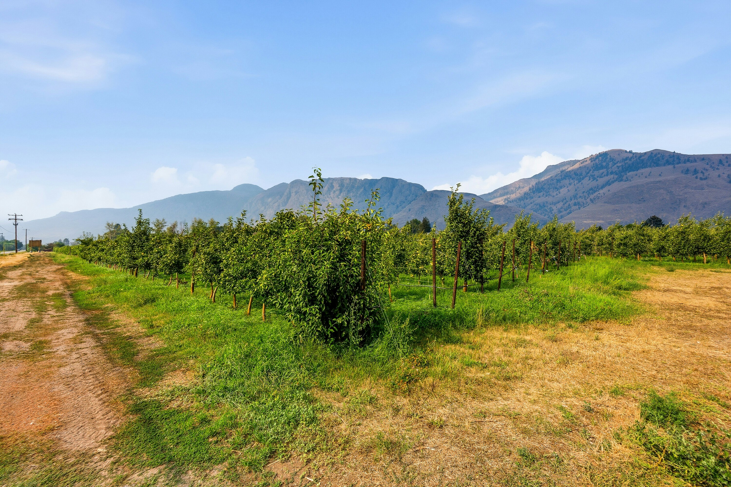 2249 Agar Road, Cawston, BC, V0X 1C2 - 72