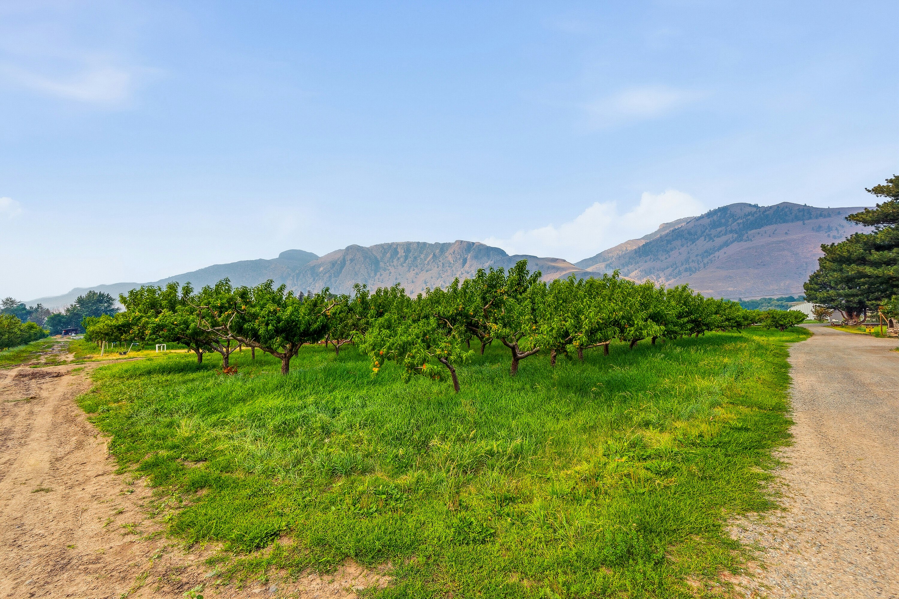 2249 Agar Road, Cawston, BC, V0X 1C2 - 87