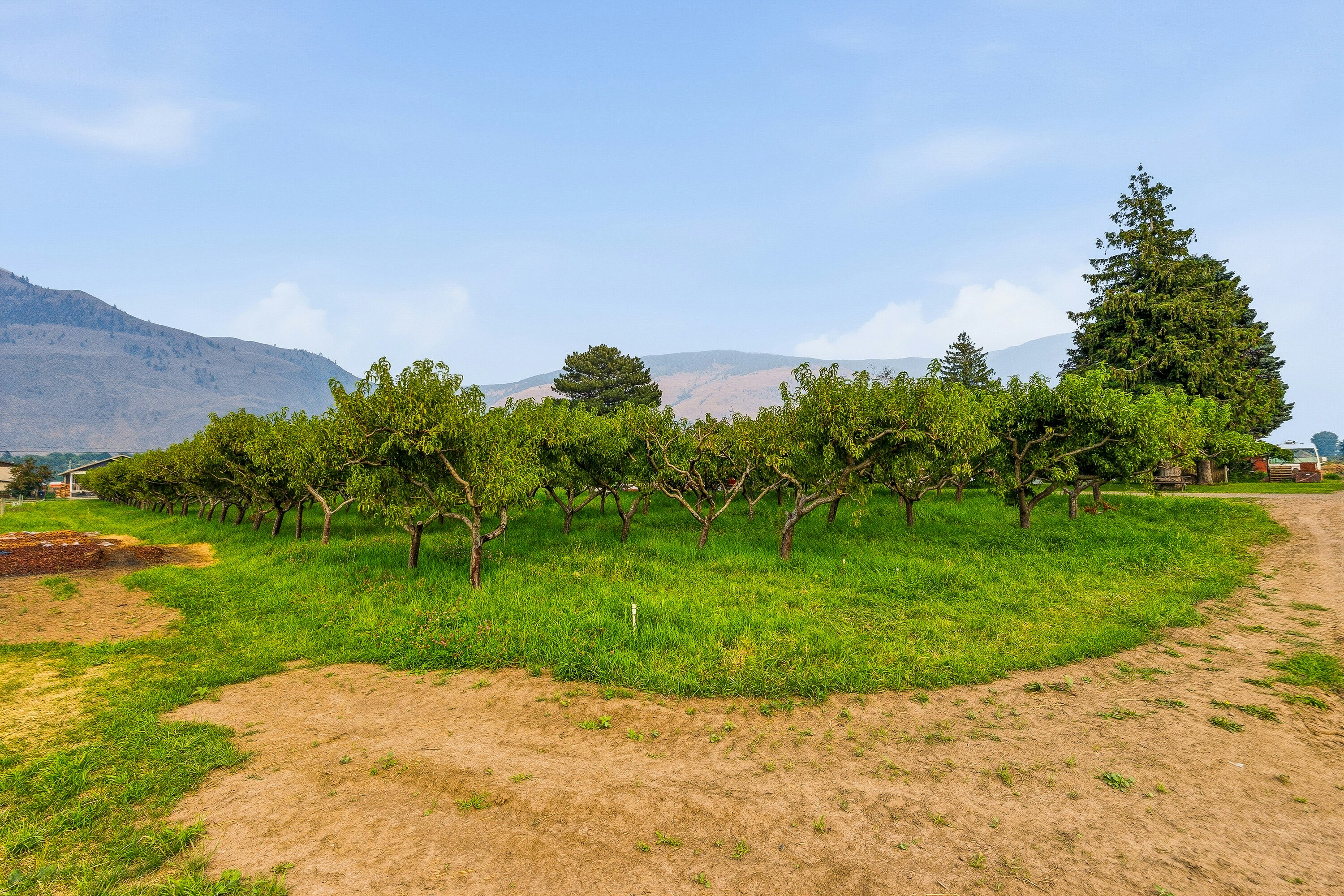 2249 Agar Road, Cawston, BC, V0X 1C2 - 86