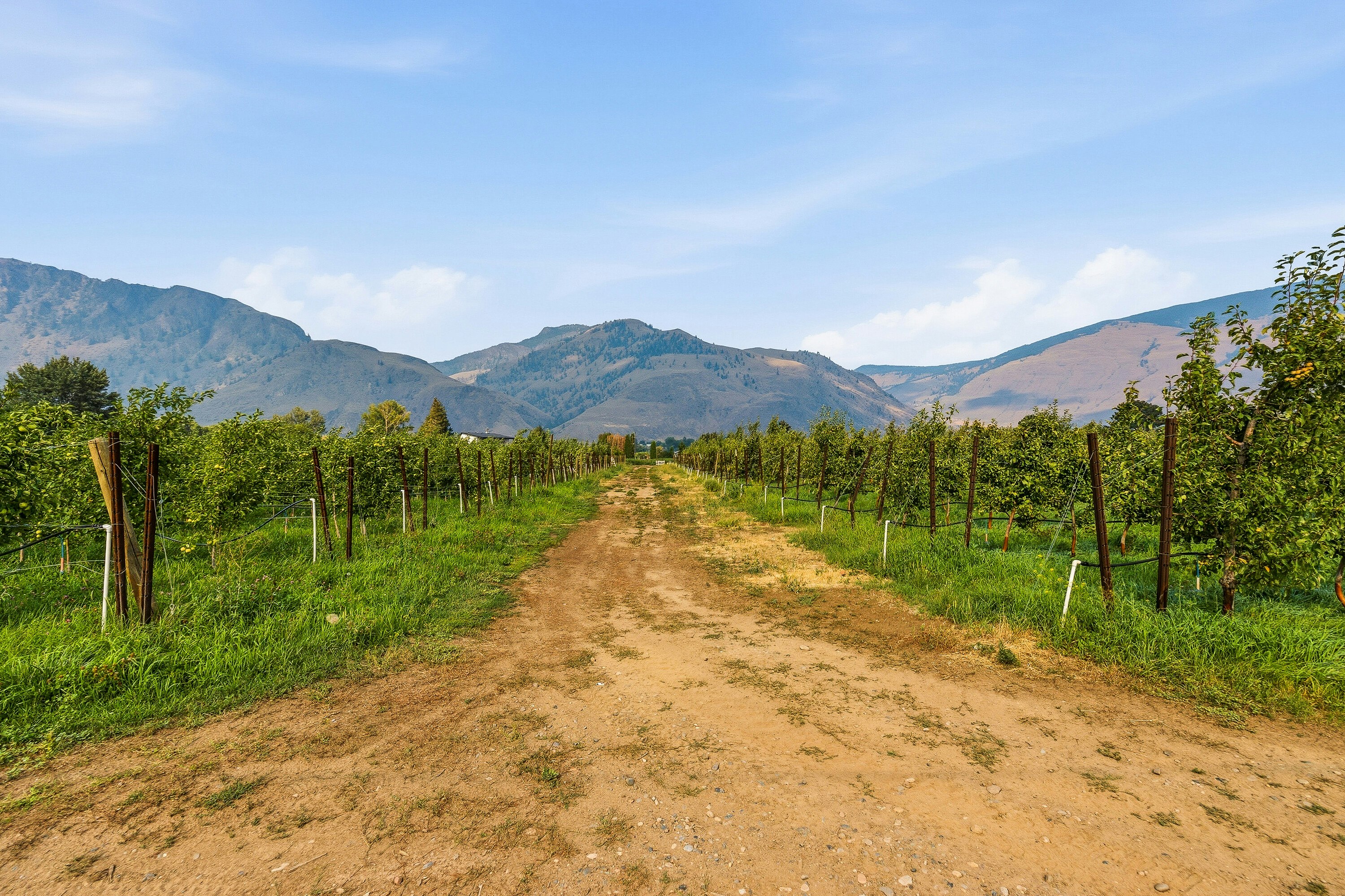 2249 Agar Road, Cawston, BC, V0X 1C2 - 73