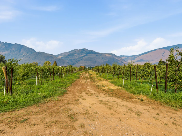 2249 Agar Road, Cawston, BC, V0X 1C2 - 73