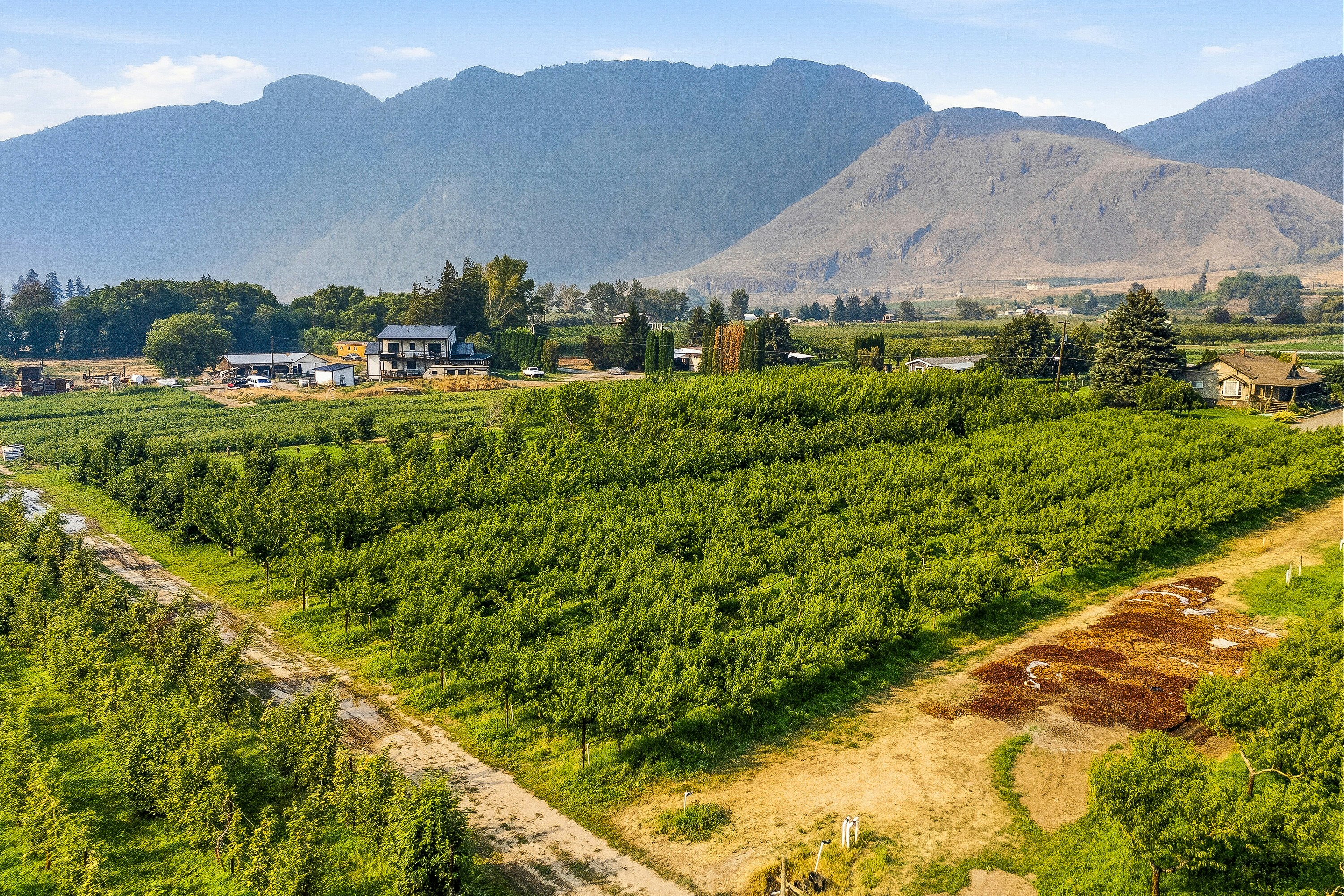 2249 Agar Road, Cawston, BC, V0X 1C2 - 93