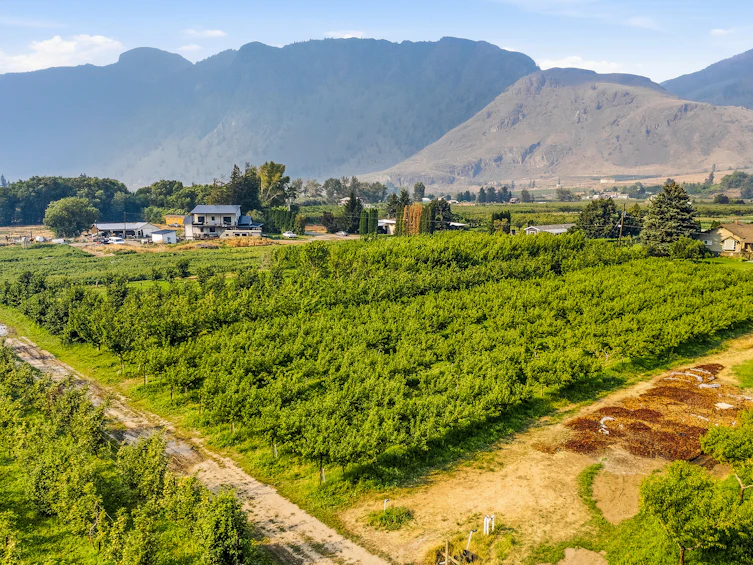 2249 Agar Road, Cawston, BC, V0X 1C2 - 93