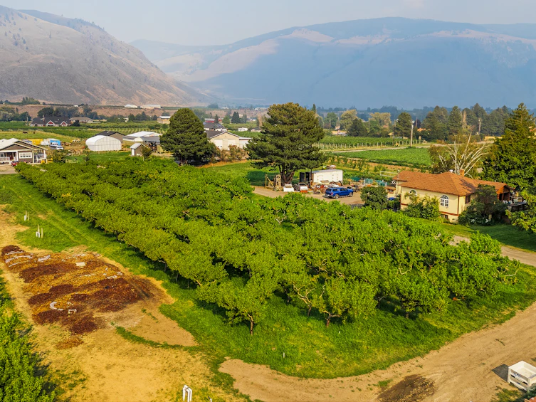 2249 Agar Road, Cawston, BC, V0X 1C2 - 67