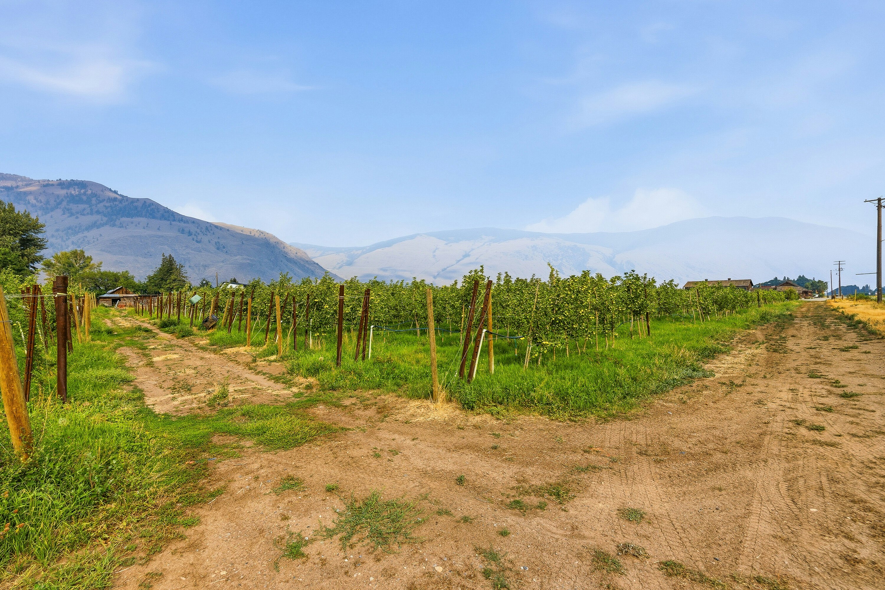 2249 Agar Road, Cawston, BC, V0X 1C2 - 74