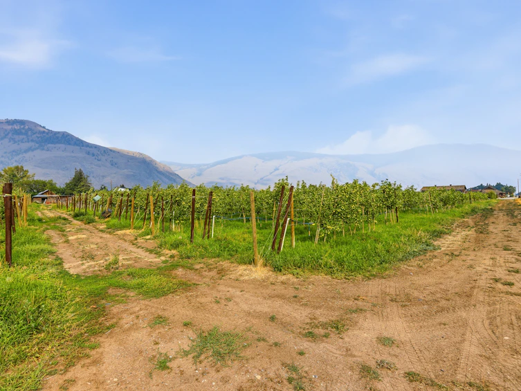 2249 Agar Road, Cawston, BC, V0X 1C2 - 74