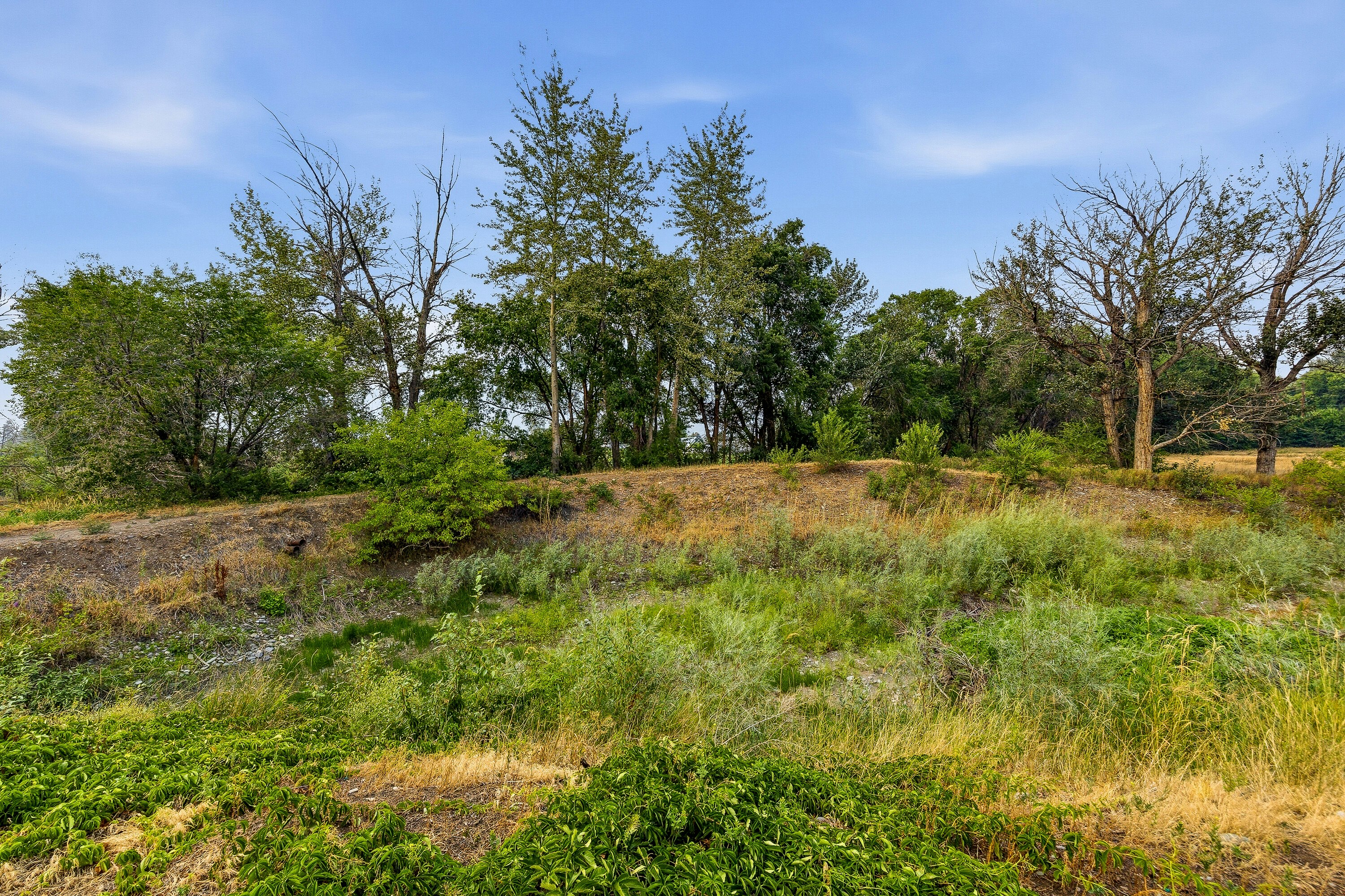 2249 Agar Road, Cawston, BC, V0X 1C2 - 79