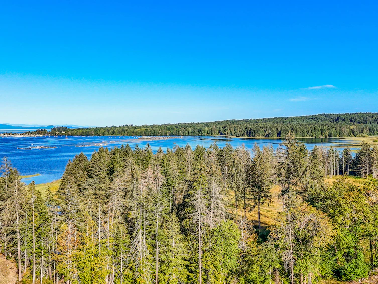Lot-1 Wavell Road, Fanny Bay, BC, V0R 1W0 - 29