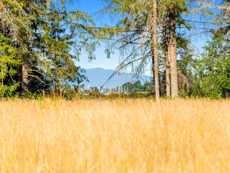 Lot-1 Wavell Road, Fanny Bay, BC, V0R 1W0 - 19