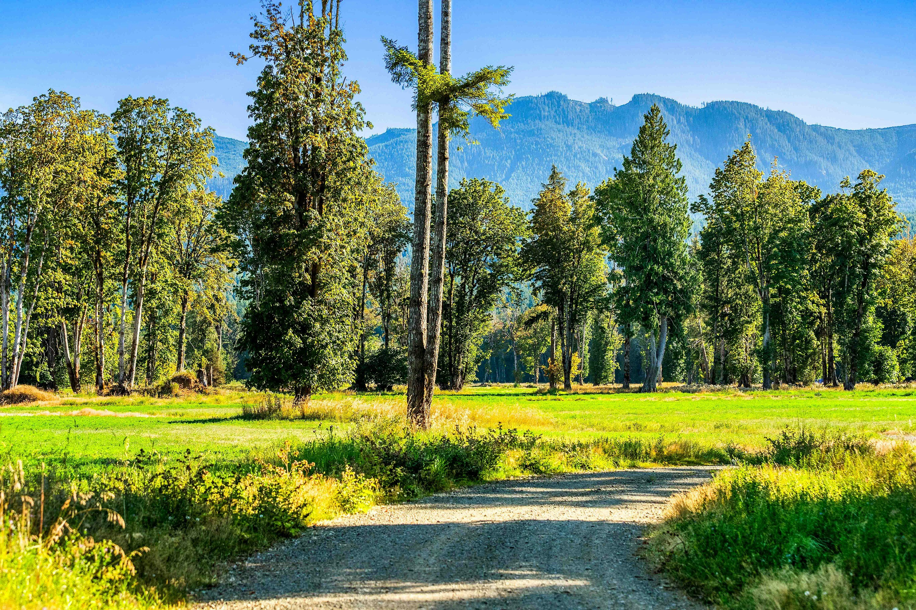 Lot-1 Wavell Road, Fanny Bay, BC, V0R 1W0 - 6