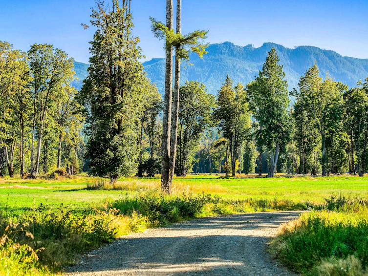 Lot-1 Wavell Road, Fanny Bay, BC, V0R 1W0 - 6