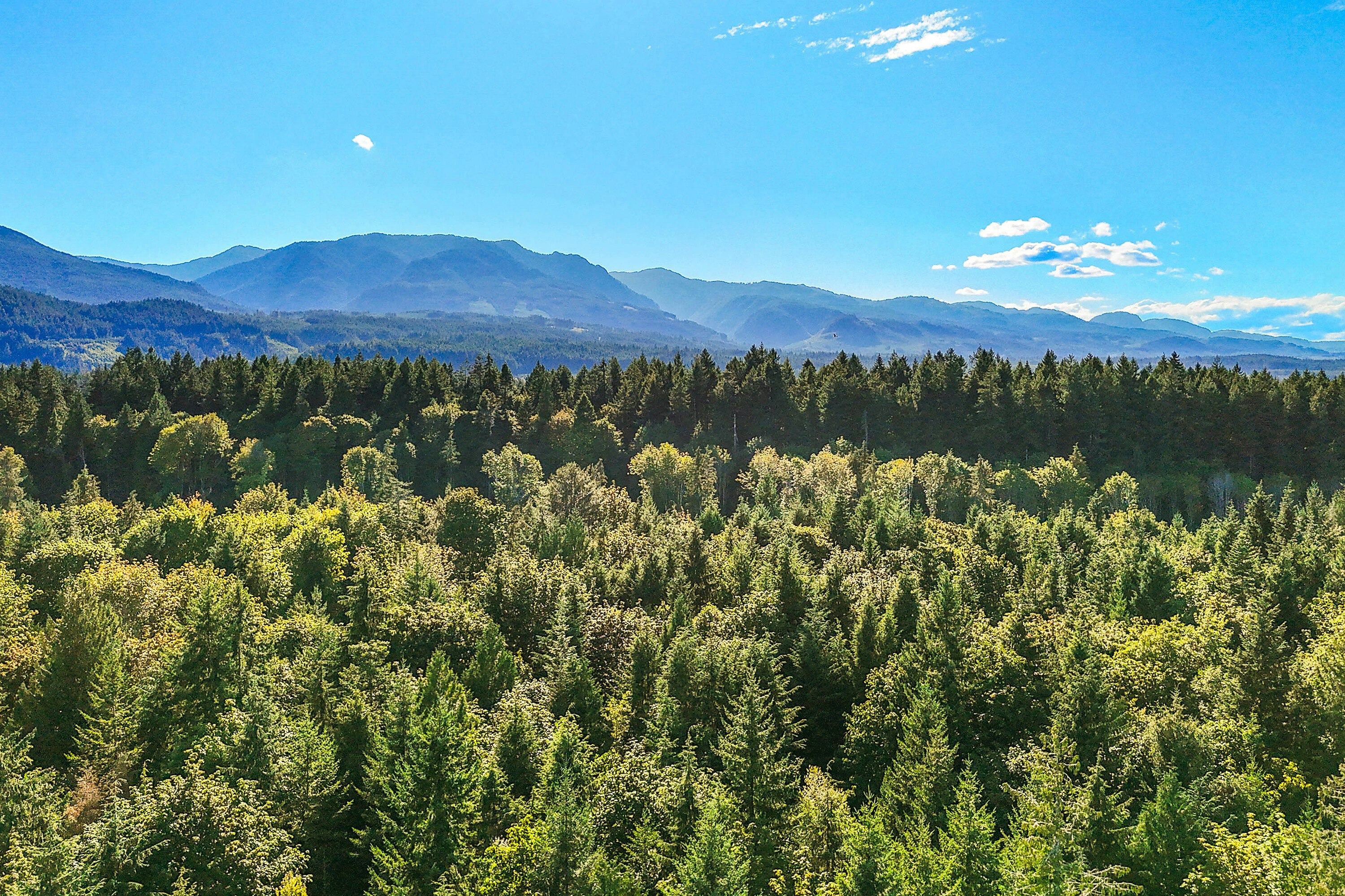 Lot-1 Wavell Road, Fanny Bay, BC, V0R 1W0 - 32