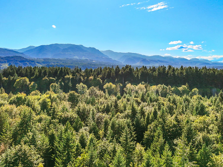 Lot-1 Wavell Road, Fanny Bay, BC, V0R 1W0 - 32
