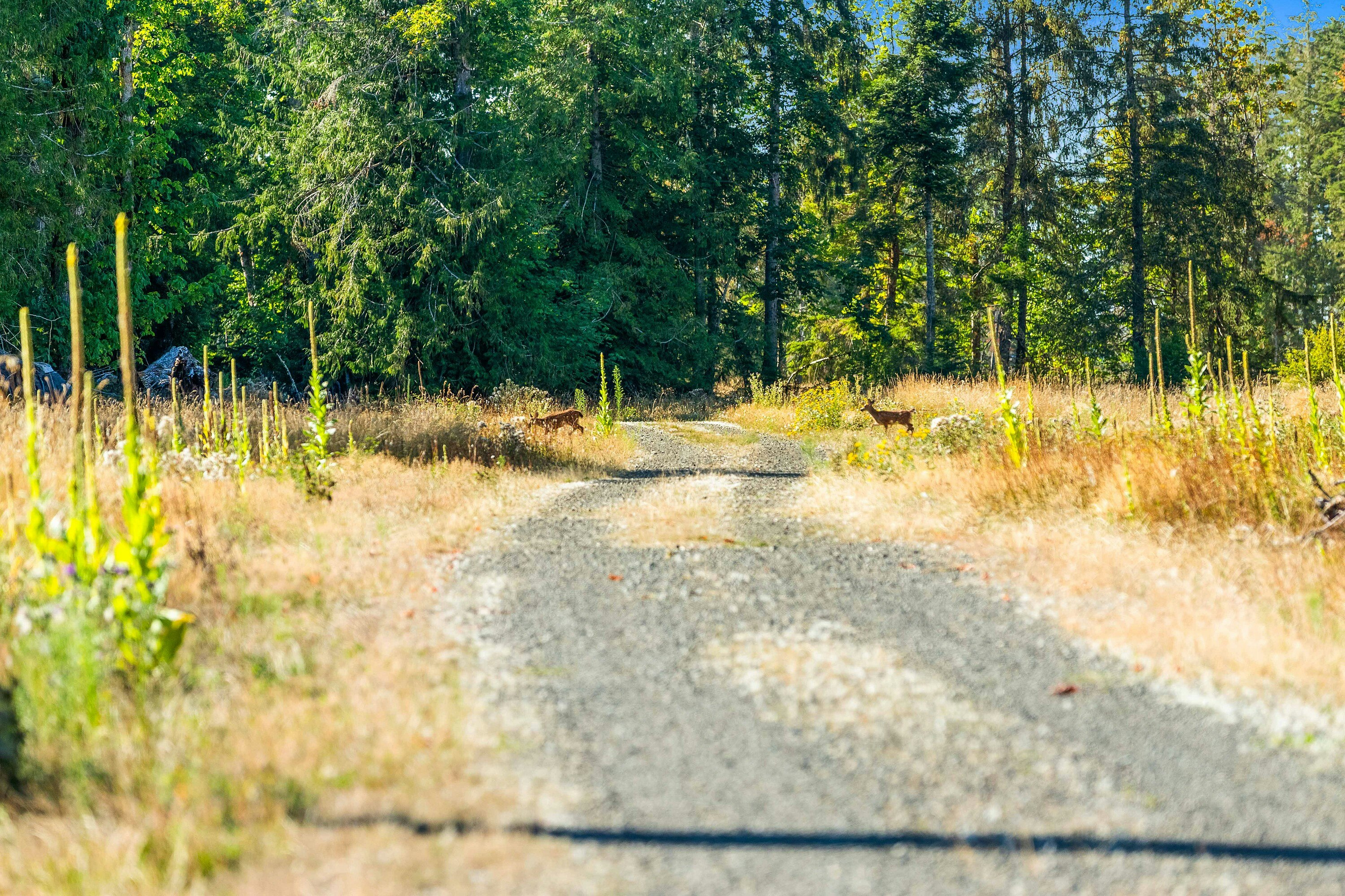 Lot-1 Wavell Road, Fanny Bay, BC, V0R 1W0 - 13
