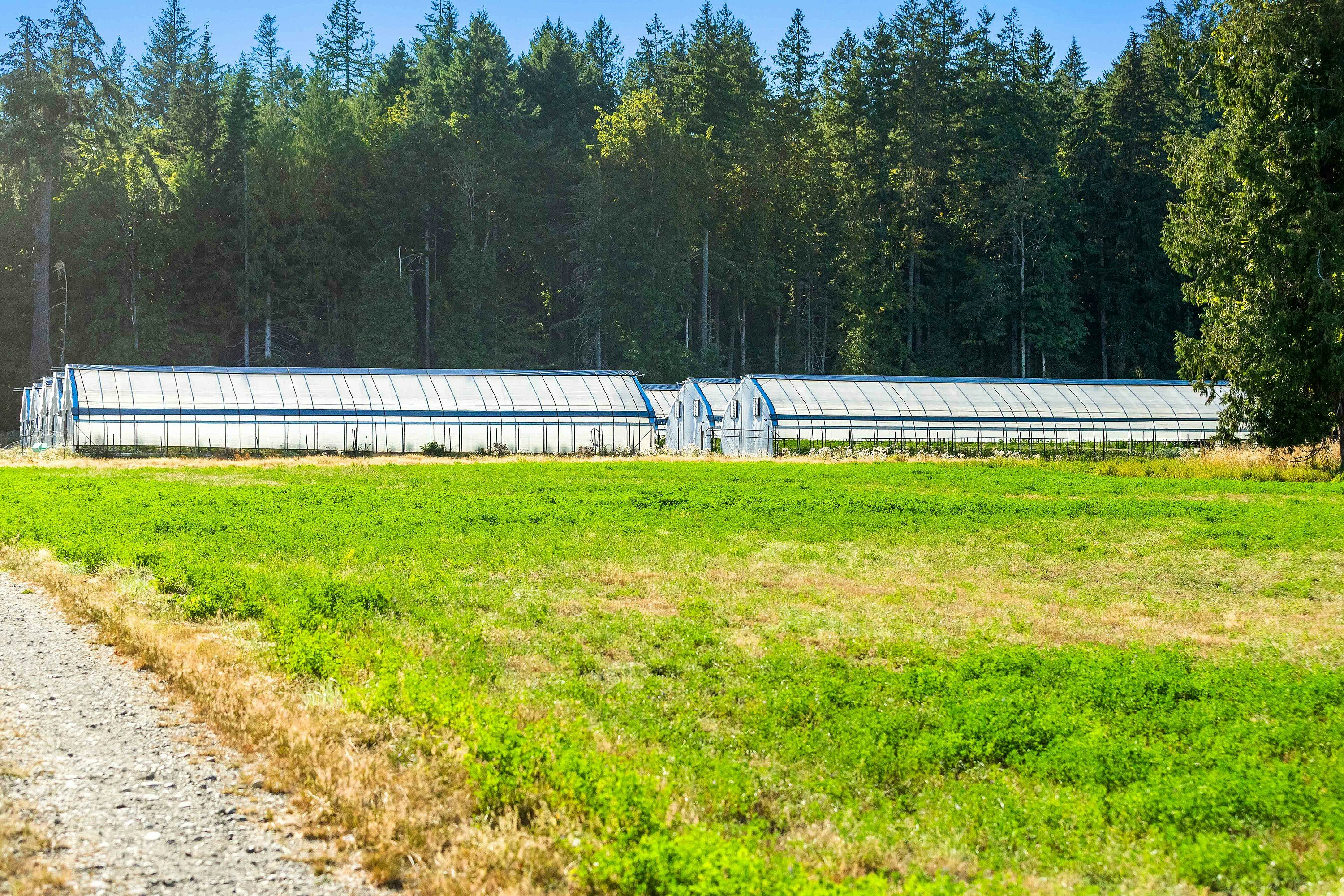 Lot-1 Wavell Road, Fanny Bay, BC, V0R 1W0 - 26