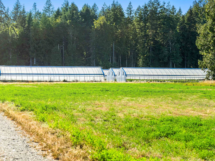 Lot-1 Wavell Road, Fanny Bay, BC, V0R 1W0 - 26