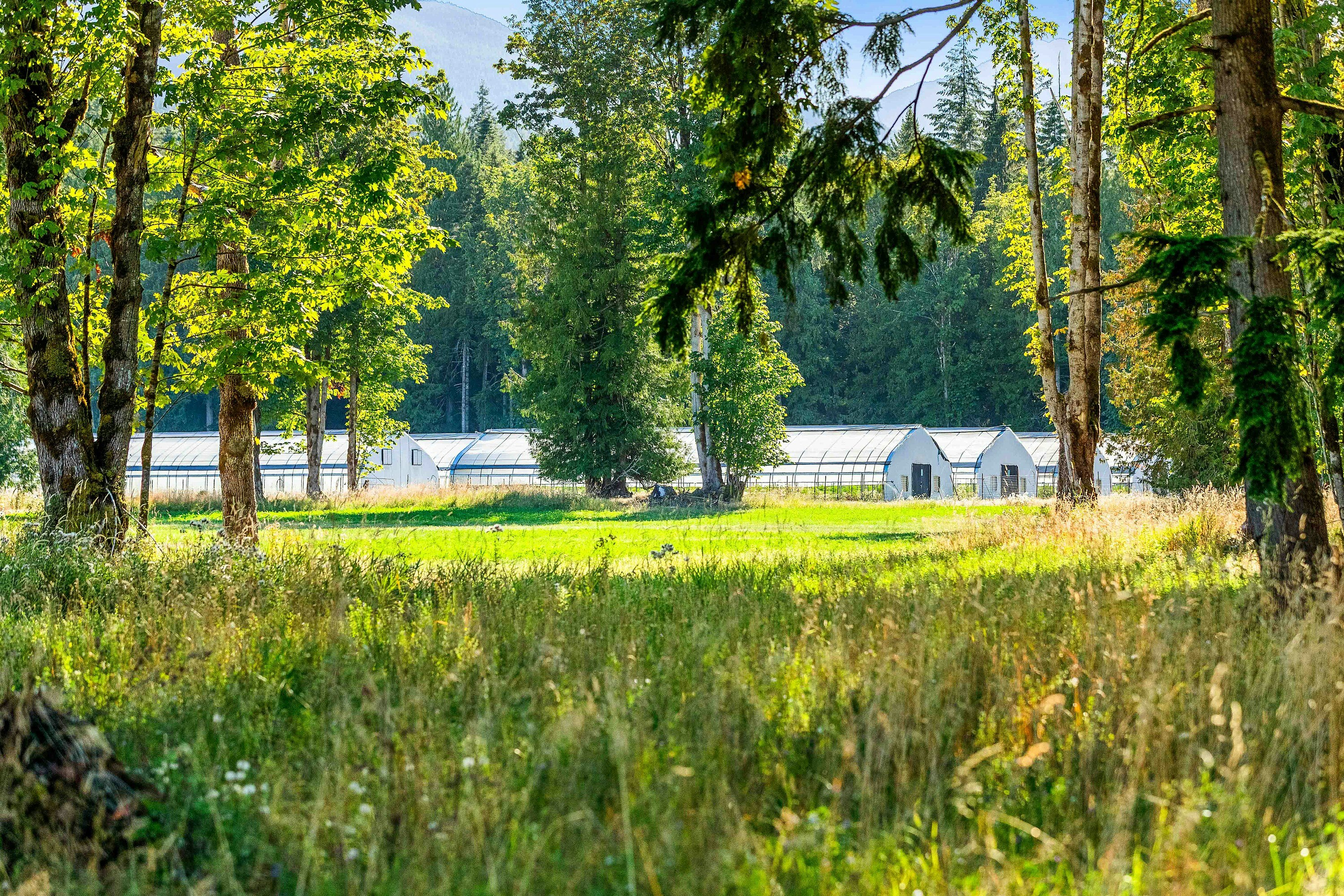 Lot-1 Wavell Road, Fanny Bay, BC, V0R 1W0 - 25