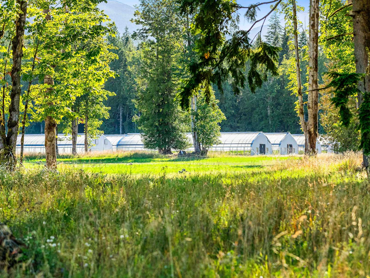 Lot-1 Wavell Road, Fanny Bay, BC, V0R 1W0 - 25