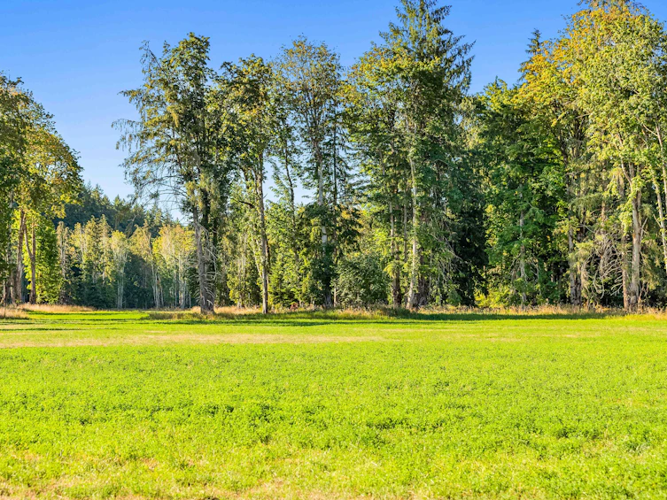 Lot-1 Wavell Road, Fanny Bay, BC, V0R 1W0 - 28