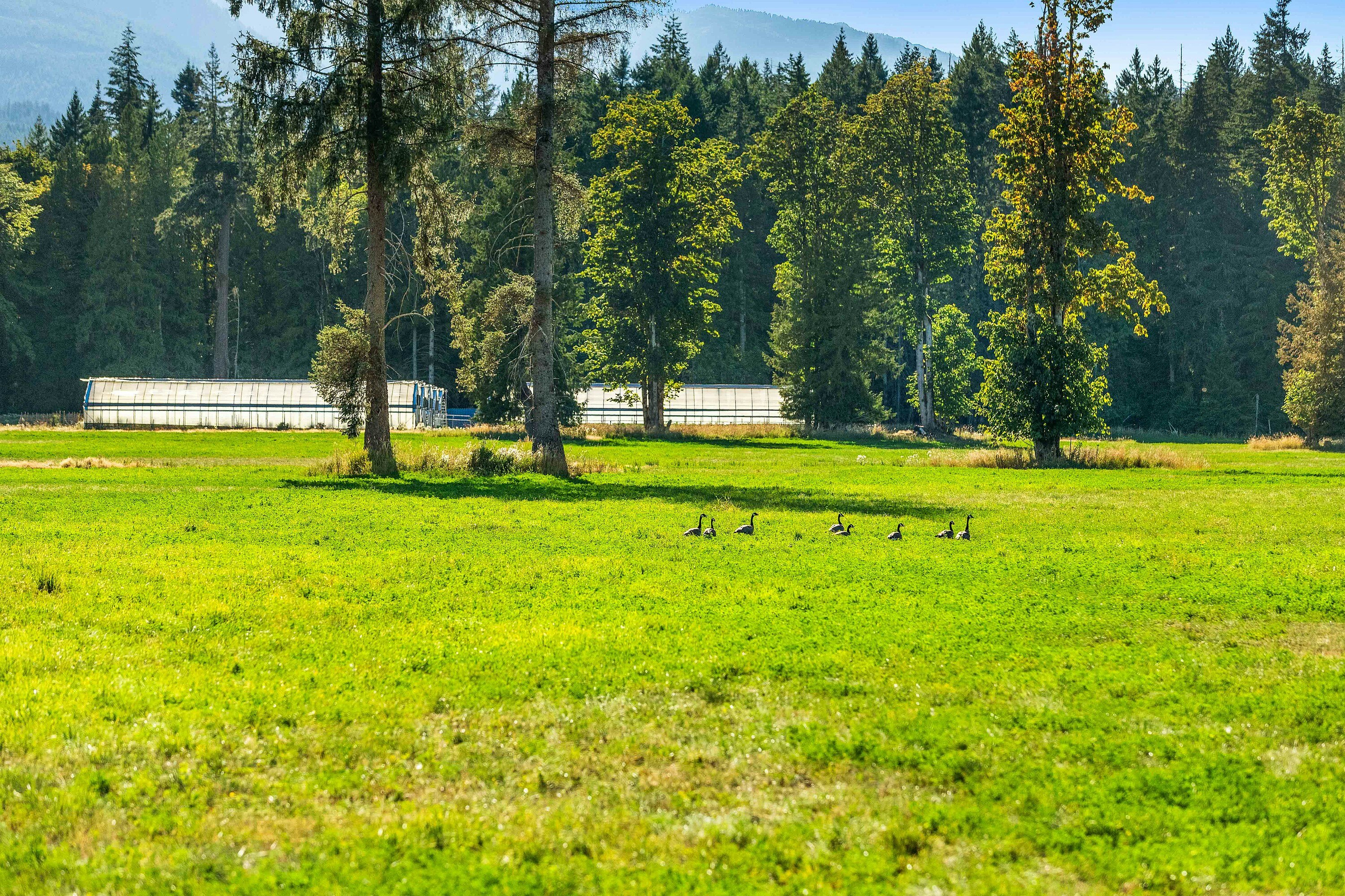Lot-1 Wavell Road, Fanny Bay, BC, V0R 1W0 - 23