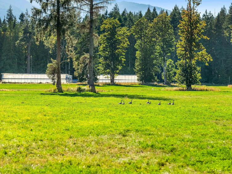 Lot-1 Wavell Road, Fanny Bay, BC, V0R 1W0 - 23