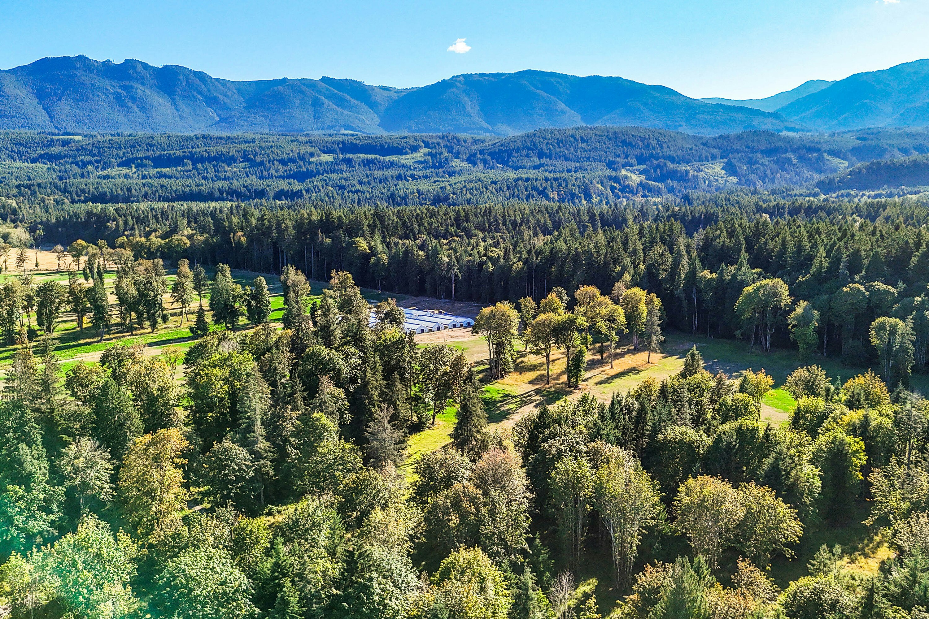 Lot-1 Wavell Road, Fanny Bay, BC, V0R 1W0 - 34