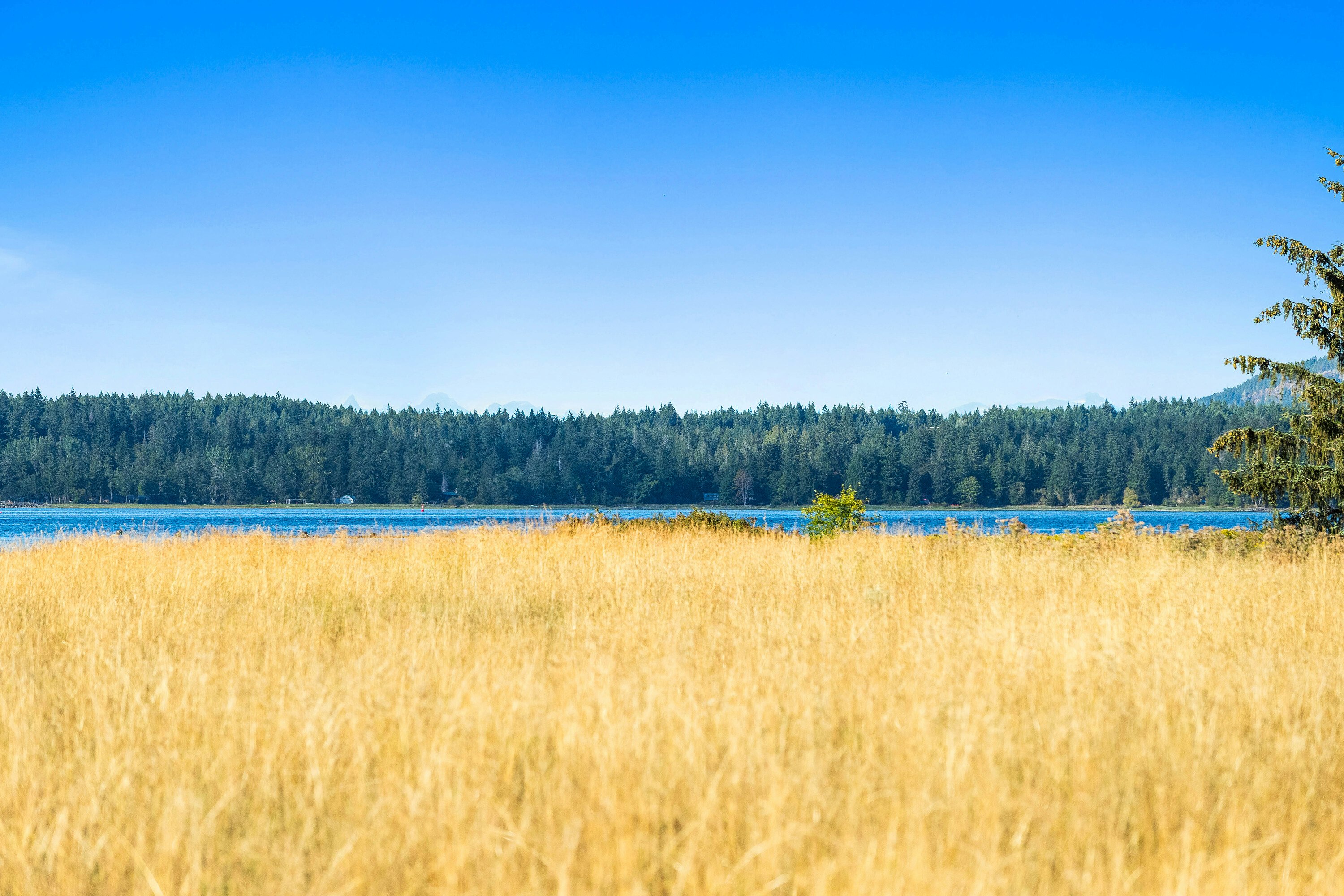Lot-1 Wavell Road, Fanny Bay, BC, V0R 1W0 - 18