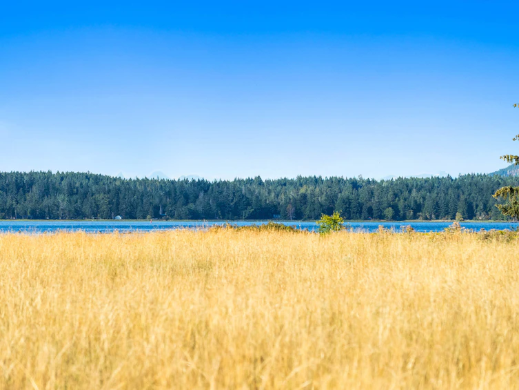 Lot-1 Wavell Road, Fanny Bay, BC, V0R 1W0 - 18