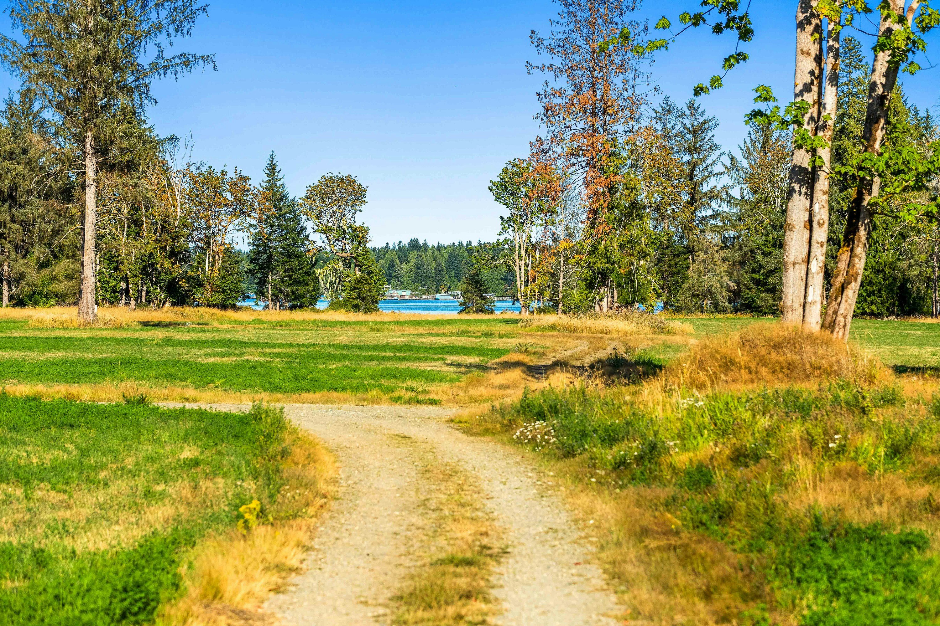 Lot-1 Wavell Road, Fanny Bay, BC, V0R 1W0 - 27