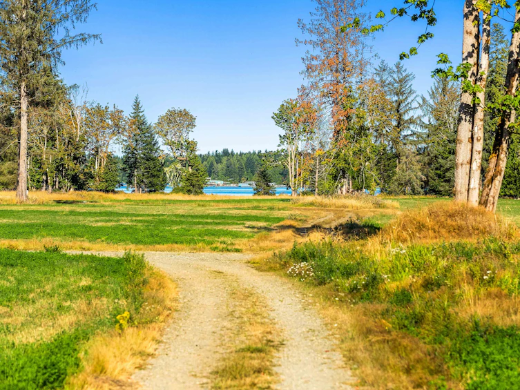 Lot-1 Wavell Road, Fanny Bay, BC, V0R 1W0 - 27