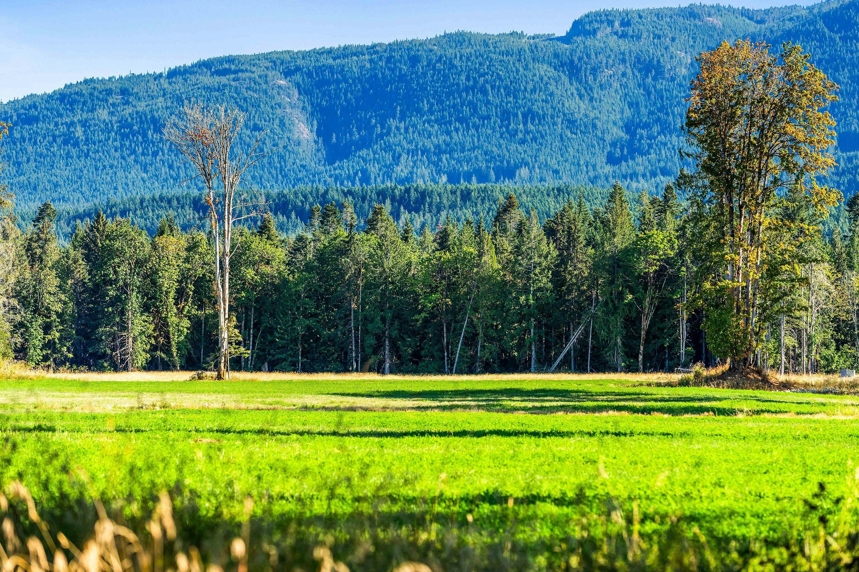 Lot-1 Wavell Road, Fanny Bay, BC, V0R 1W0 - 7