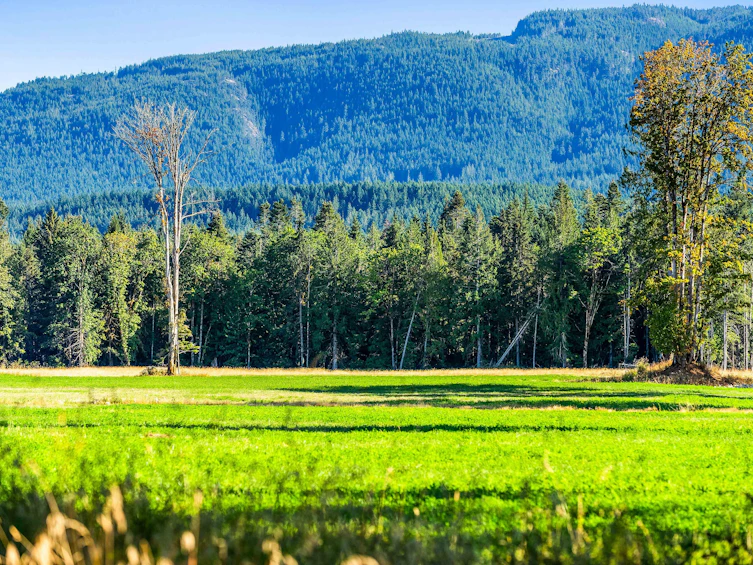 Lot-1 Wavell Road, Fanny Bay, BC, V0R 1W0 - 7