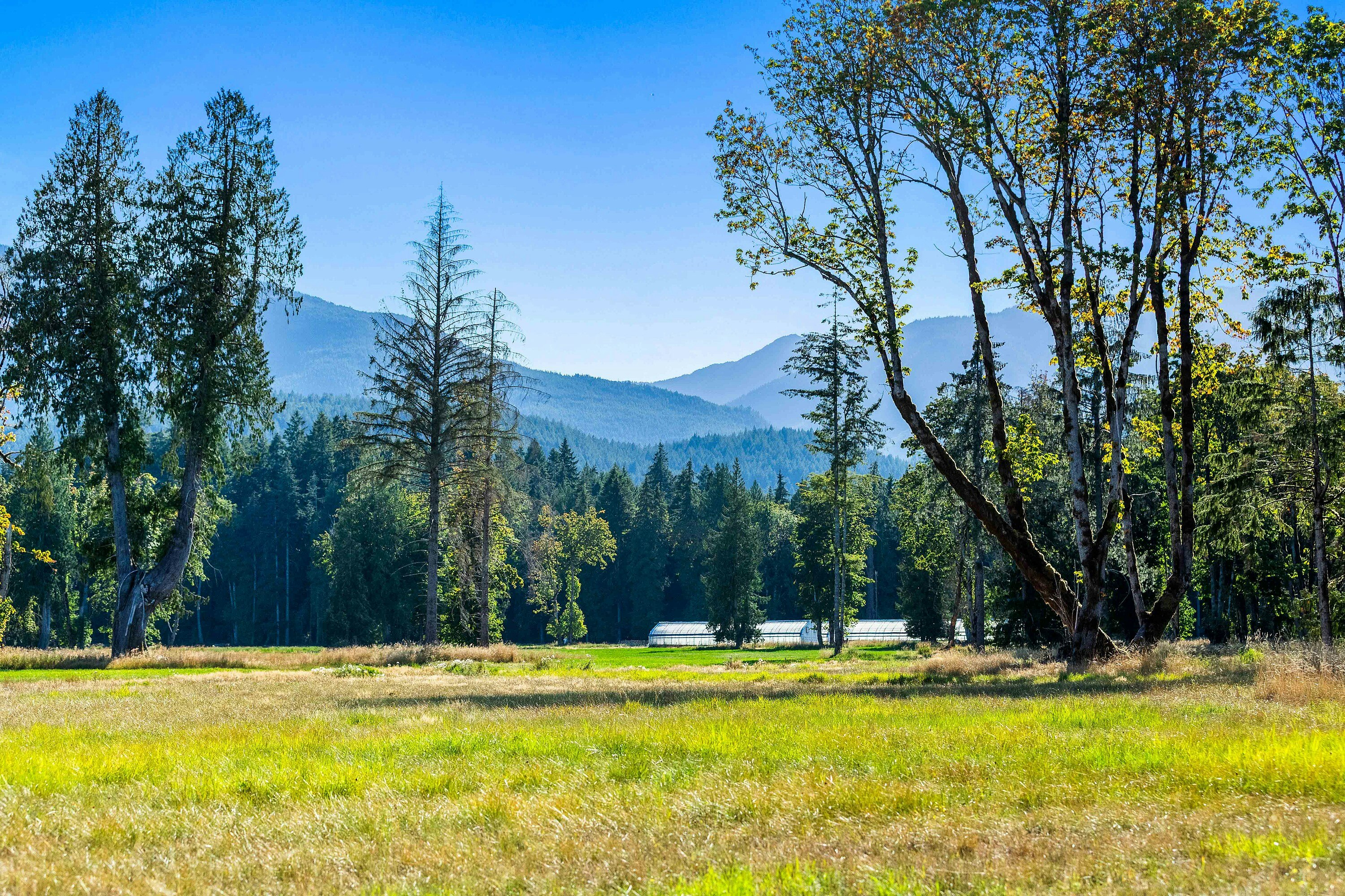 Lot-1 Wavell Road, Fanny Bay, BC, V0R 1W0 - 24