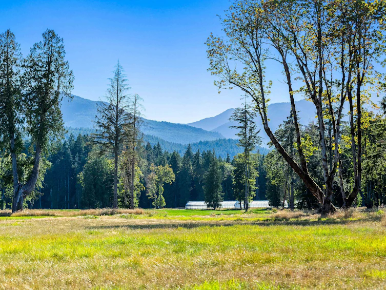 Lot-1 Wavell Road, Fanny Bay, BC, V0R 1W0 - 24